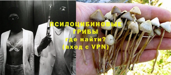 jwh Белокуриха
