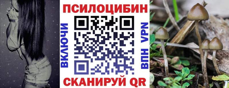 Галлюциногенные грибы MAGIC MUSHROOMS  наркошоп  Окуловка 